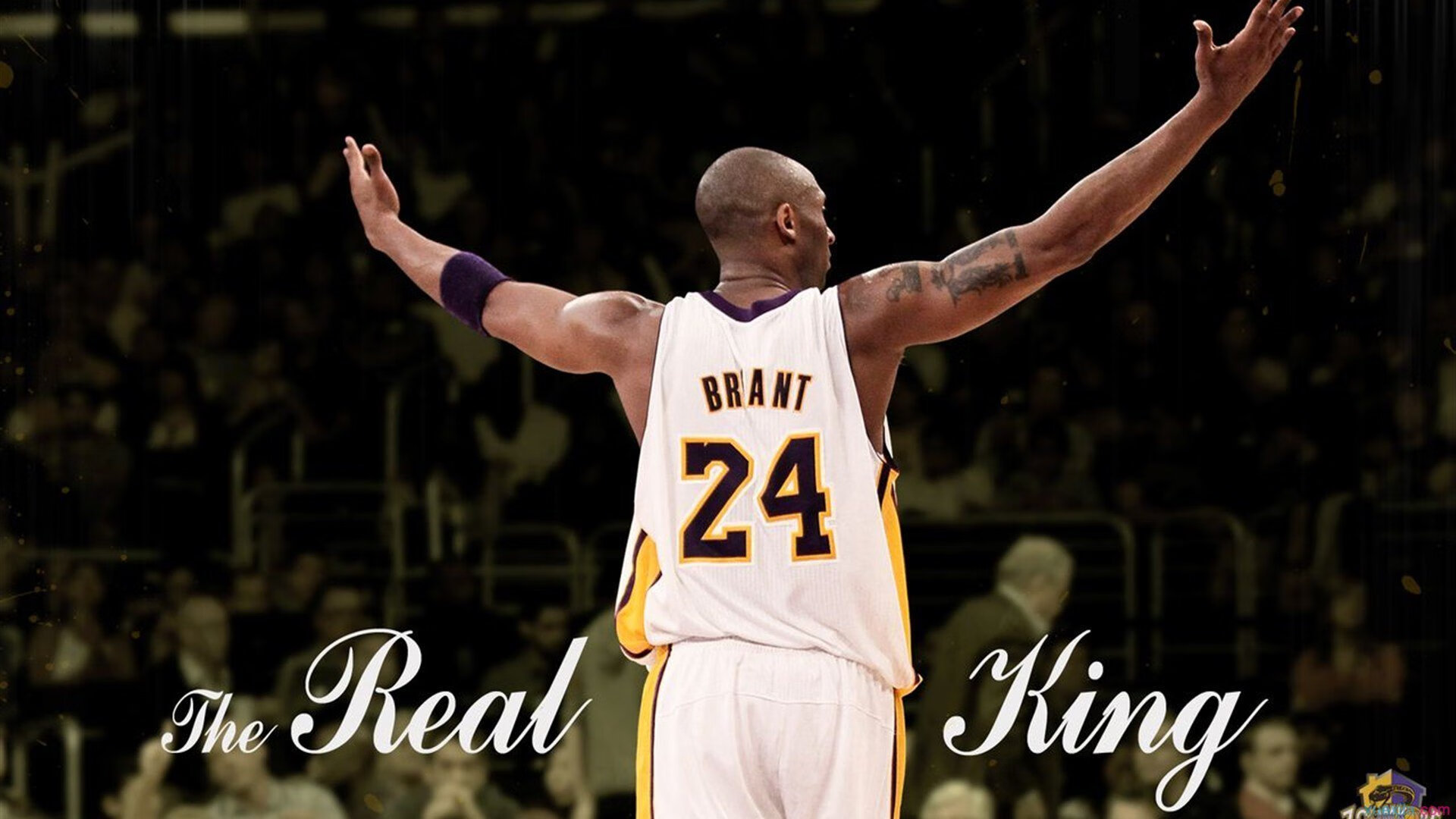 【从规则到战术】掌握比赛技巧的全攻略，比赛规程和规则有什么区别